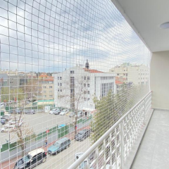 BALKON KEDİ FİLESİ