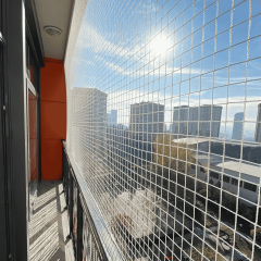 BALKON KEDİ FİLESİ