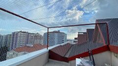 TERAS KEDİ FİLESİ