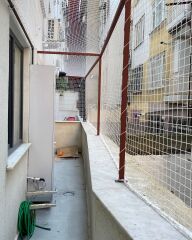 TERAS KEDİ FİLESİ