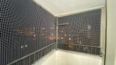 BALKON KUŞ FİLESİ