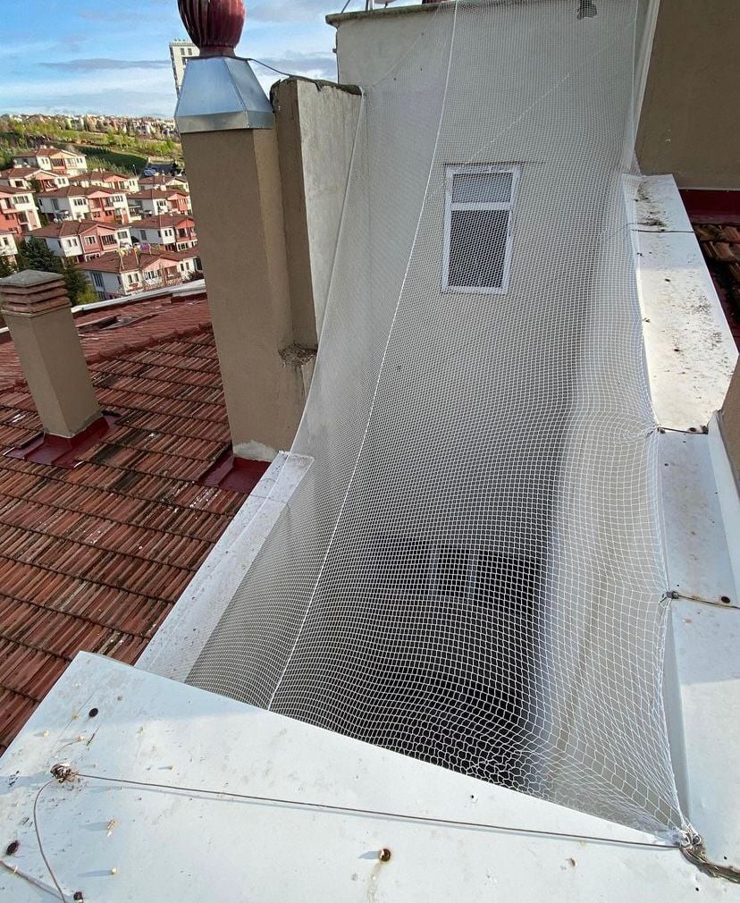 BİNA BOŞLUĞU KUŞ FİLESİ